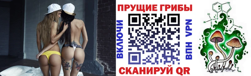 Купить где  Приволжский  Псилоцибиновые грибы MAGIC MUSHROOMS 